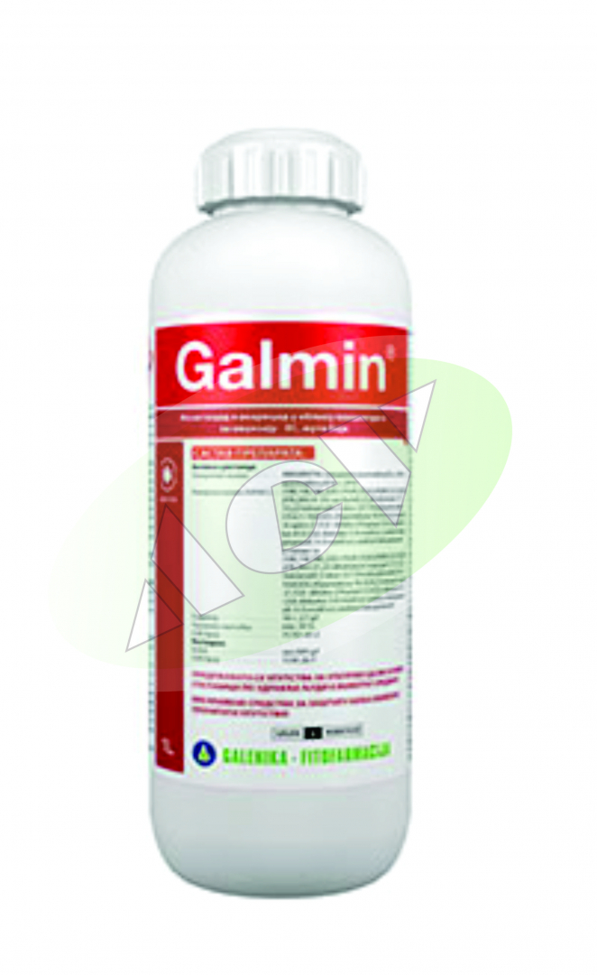 GALMIN 5|1